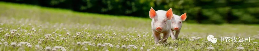 Agrotech