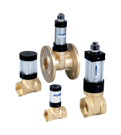 Gas control valves