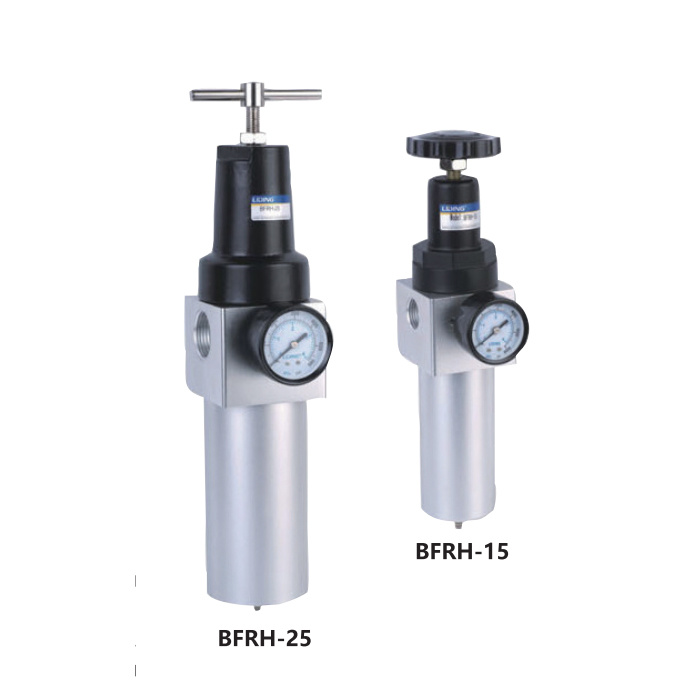 BFRH SERIES REGULATOR