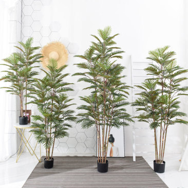 Tree Series
