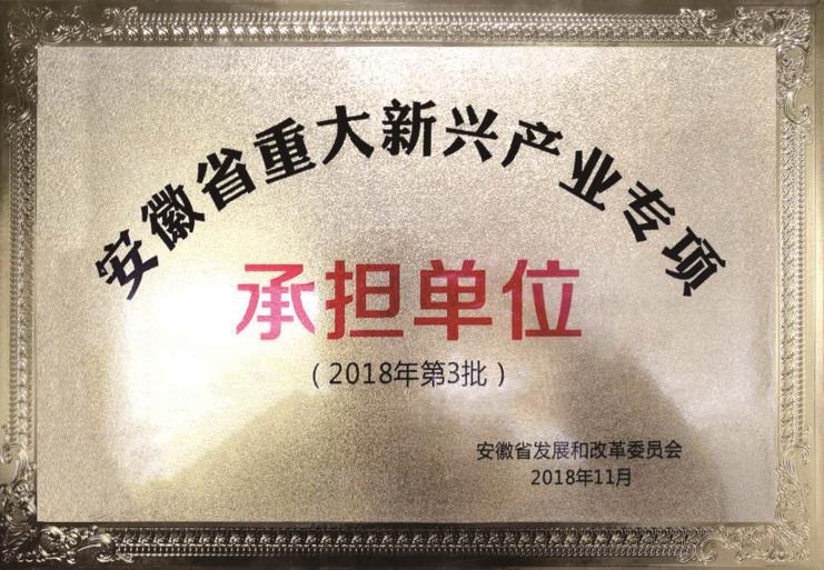 安徽省科技重大產(chǎn)業(yè)專(zhuān)項(xiàng)承擔(dān)單位 安徽省科技重大產(chǎn)業(yè)專(zhuān)項(xiàng)承擔(dān)單位