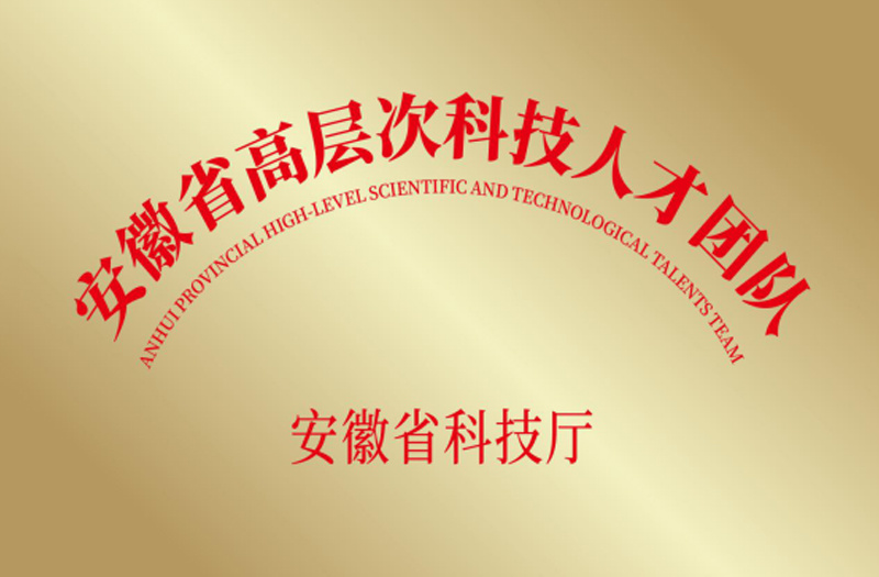安徽省高層次科技人才團(tuán)隊(duì) 安徽省高層次科技人才團(tuán)隊(duì)