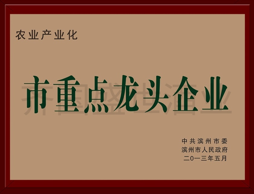 市重點(diǎn)龍頭企業(yè) 市重點(diǎn)龍頭企業(yè)