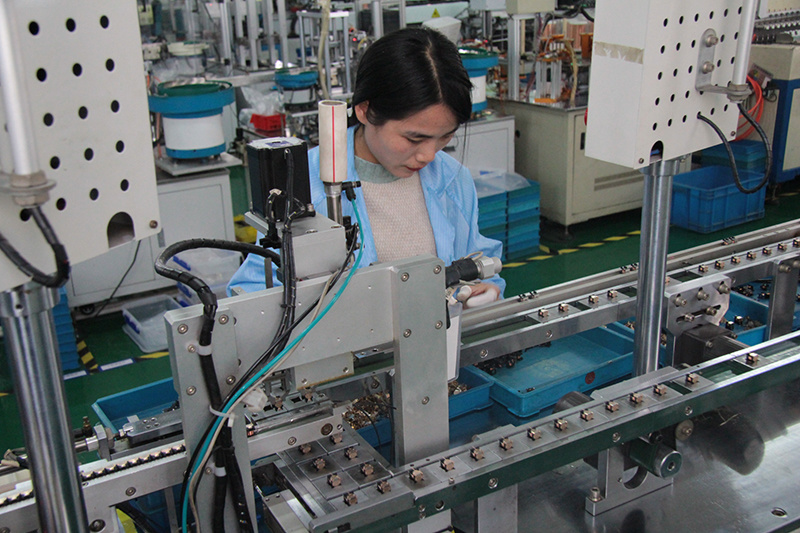 relais 12v Production site
