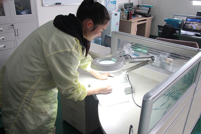 relay 10a Testing equipment