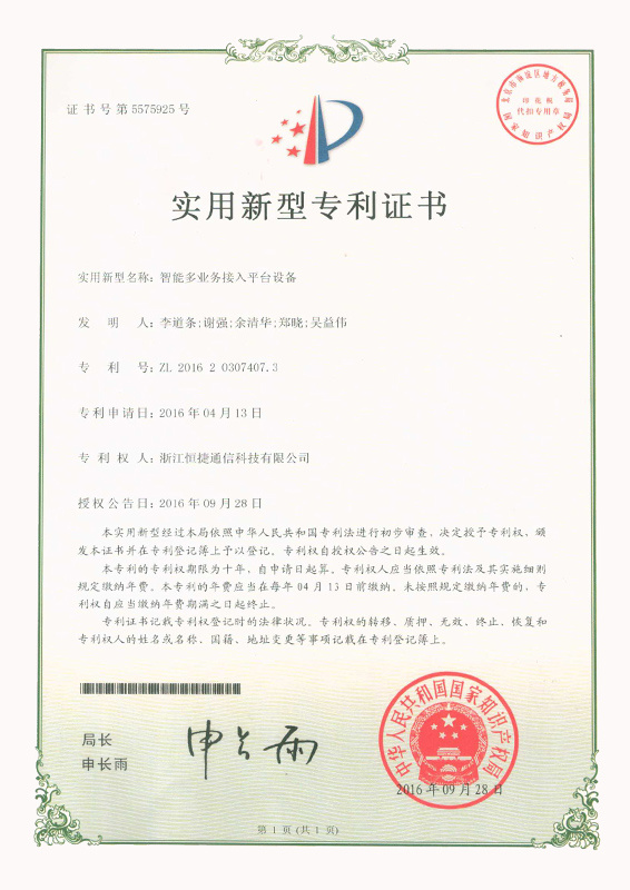 智能多业务接入平台