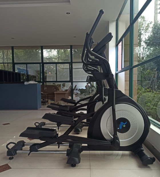 Real Pictures Of Elliptical Machine 9001 Models
