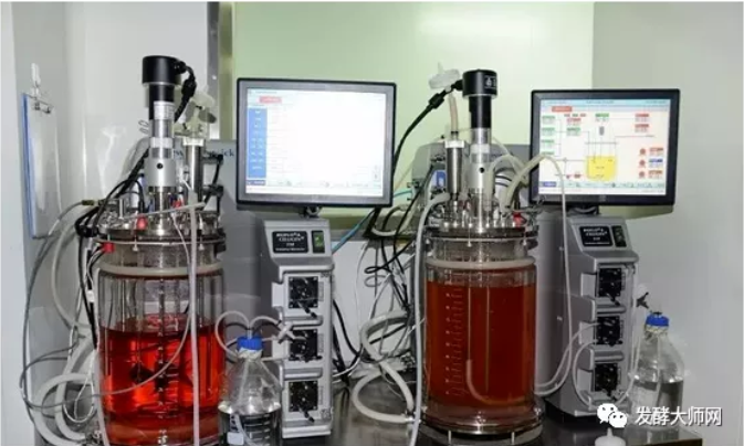 Fermentation process: explanation of main factors affecting high-density fermentation of engineered bacteria (E. coli) (recombination) Fermentation process: explanation of main factors affecting high-density fermentation of engineered bacteria (E. coli) (recombination)
