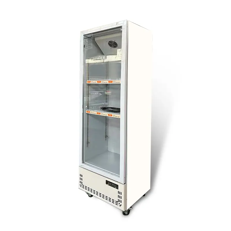 418L Single door beverage display cabinet freezer