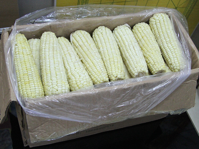 黏玉米