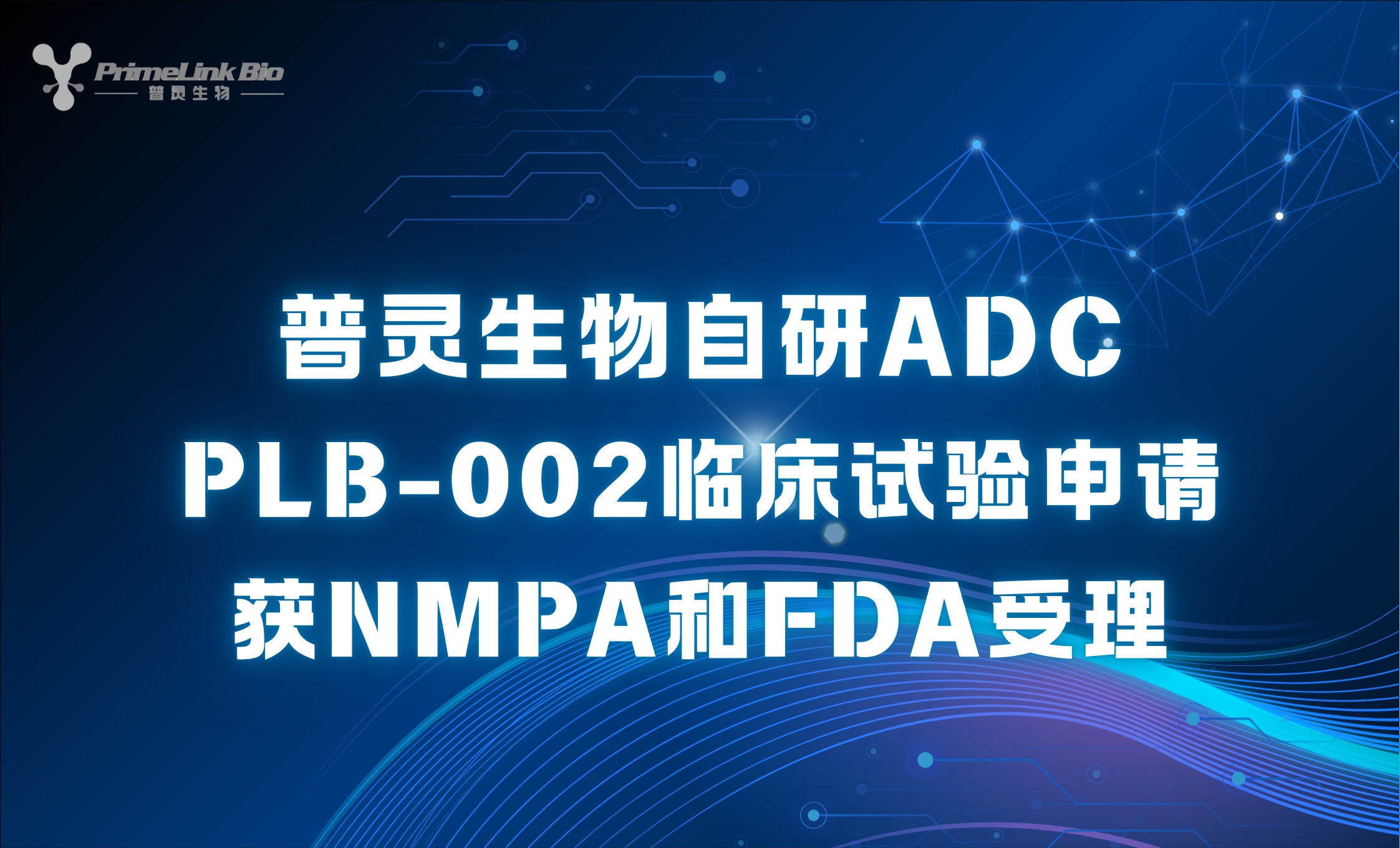 普灵生物靶向Claudin6 ADC创新药PLB-002临床试验申请获NMPA和FDA受理