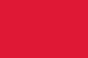 Toluidine Red RN
