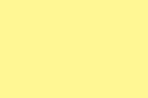 501LEMON
