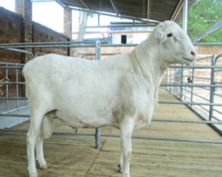 AWB14102