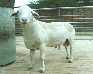 AWB14103