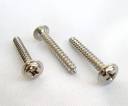 SS 304 Pan Head Tapping Screw