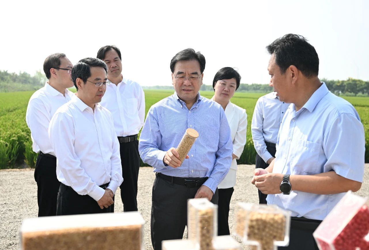 信長星在新洋農場調研