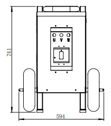 FT-P100