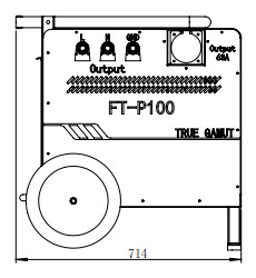 FT-P100