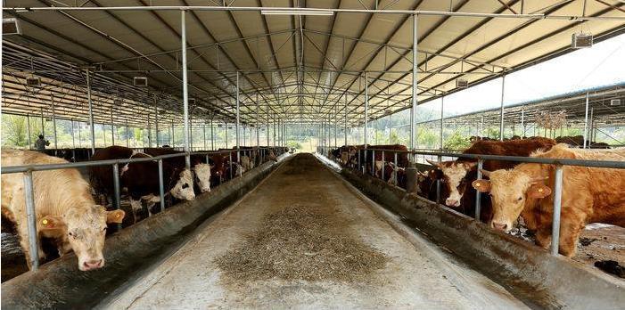 Insulated sandwich tiles - to solve the problem of farm acid-base corrosion!