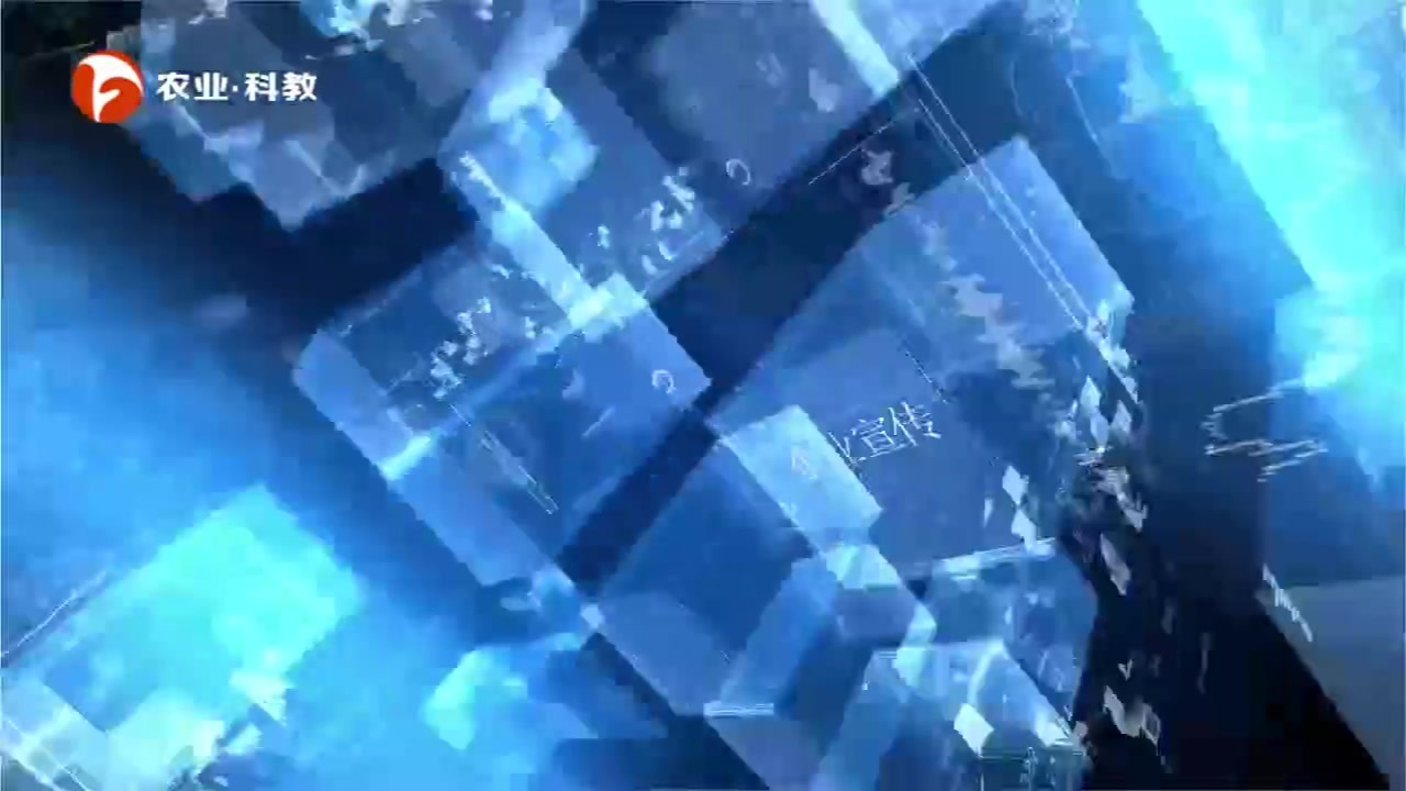 WeChat_20240307183839.mp4