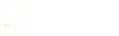 晓晨玩具