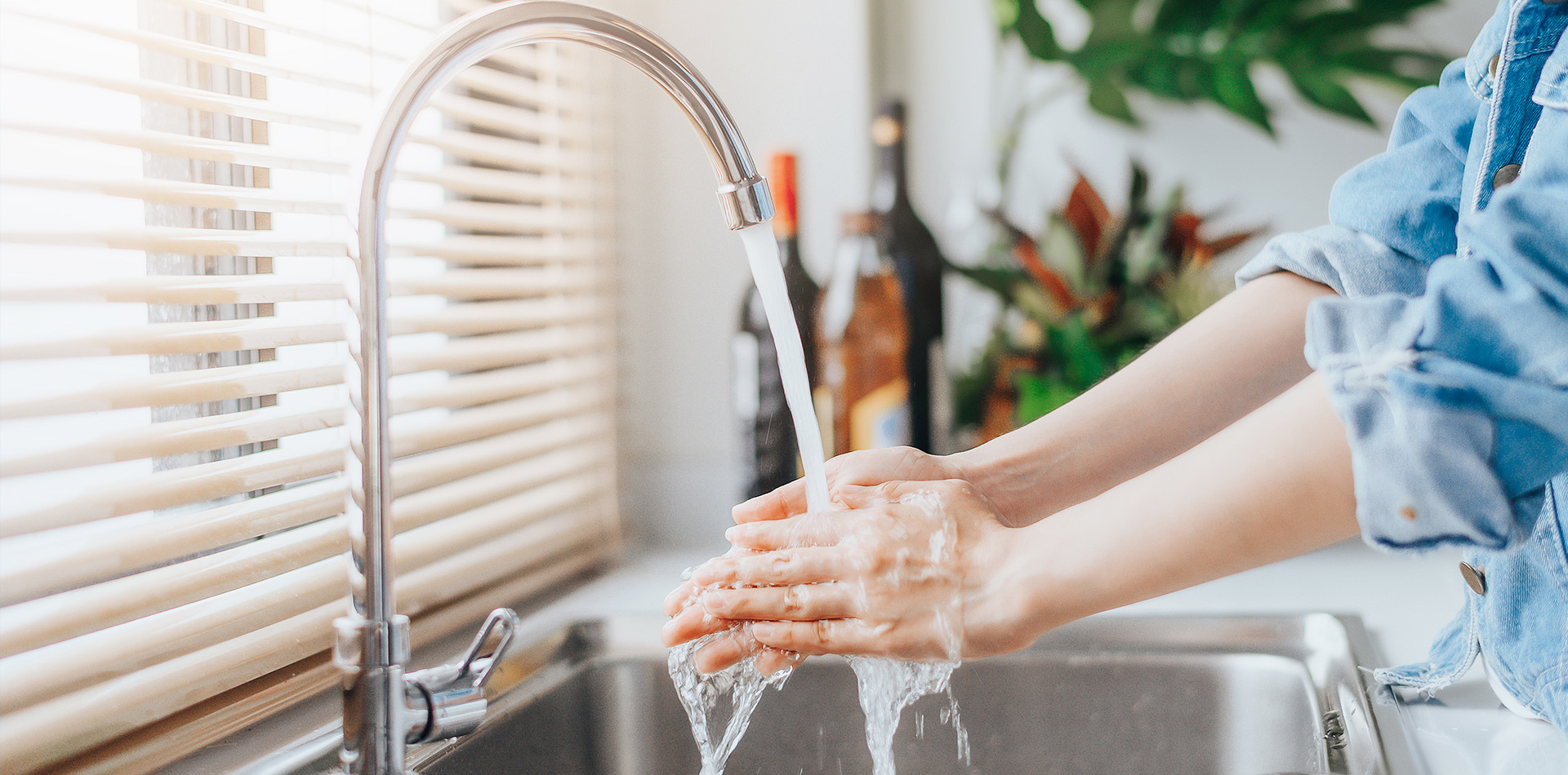Domestic water use