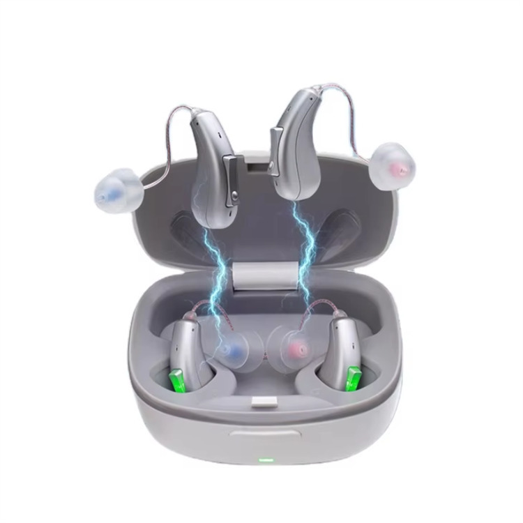 BTE RIC hearing aid BL98 Silver