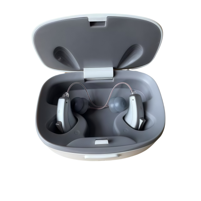 BTE RIC hearing aid BL98N Silver