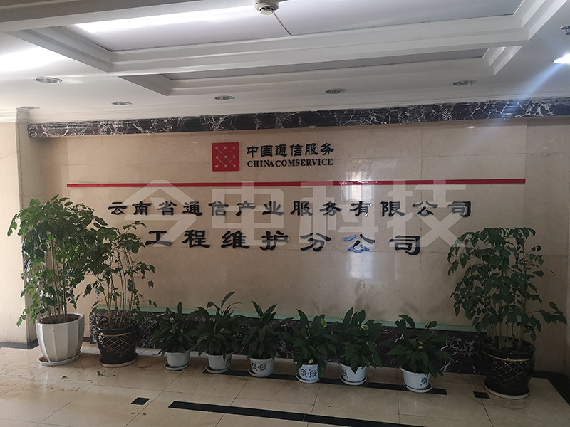 China Communications Services