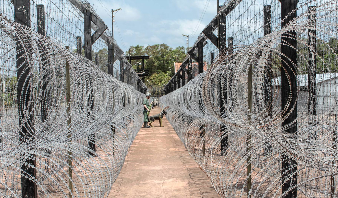 Military Field Military Field