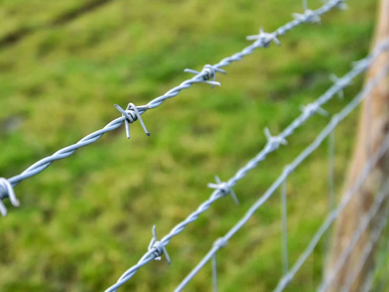 Barbed Wire