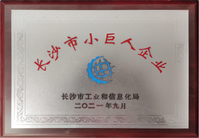 长沙市小巨人企业证书