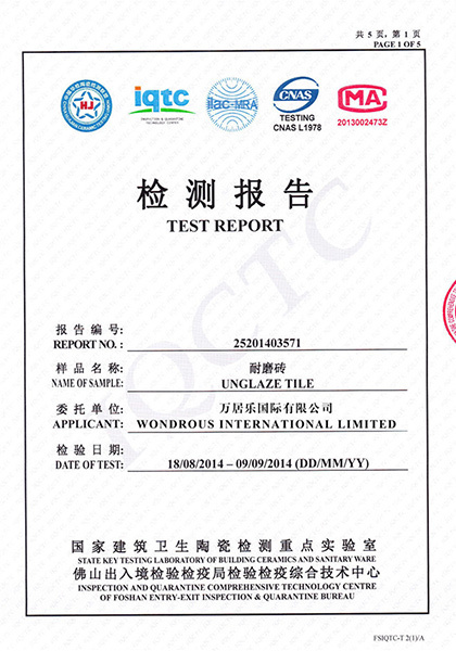 Full body porcelain test report