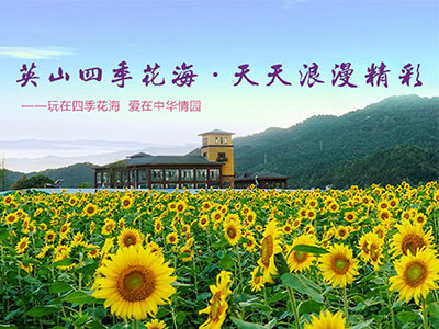 英山四季花海