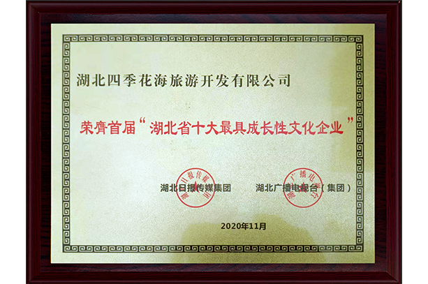 荣膺首届“湖北省十大最具成长性文化企业”