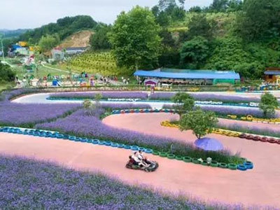 四季花海旅游篇