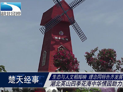 湖北经视宣传片四季花海