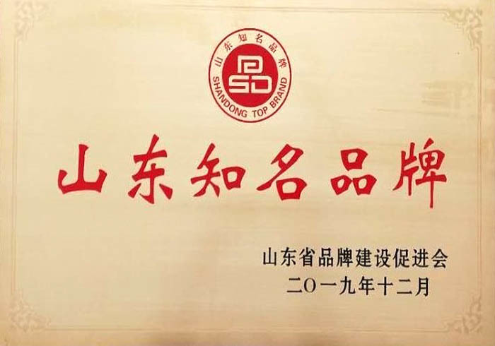 山东知名品牌