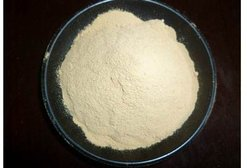 Xylanase