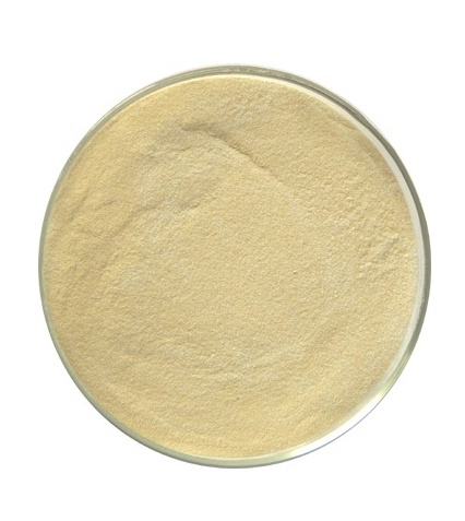 Chitosanase