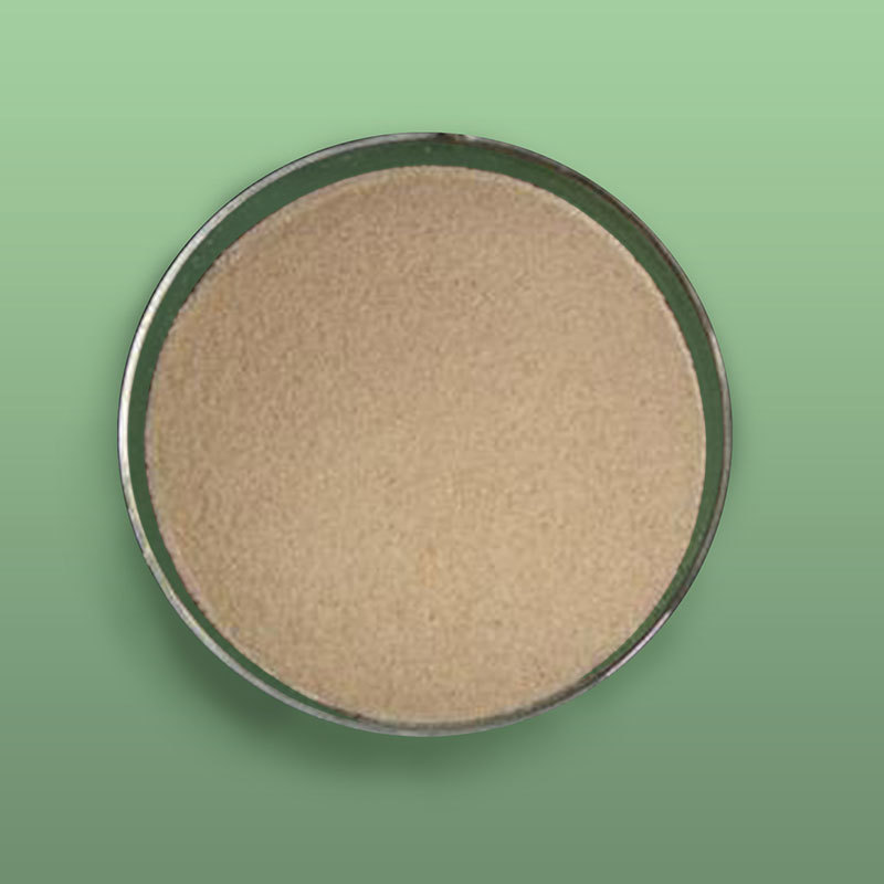Acid Protease
