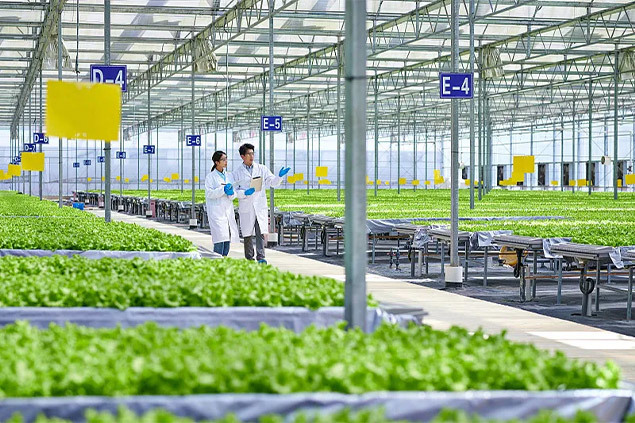 COFCO Group | Forging a New Chapter in New Energy Agriculture