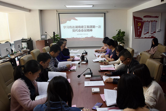 设计院召开专题会议学习贯彻集团第一次党代会精神