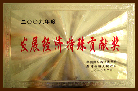 發(fā)展經(jīng)濟特殊貢獻獎 發(fā)展經(jīng)濟特殊貢獻獎
