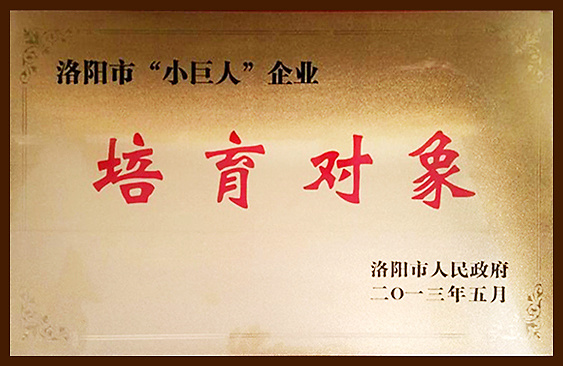 “小巨人”企業(yè)培育對象 “小巨人”企業(yè)培育對象