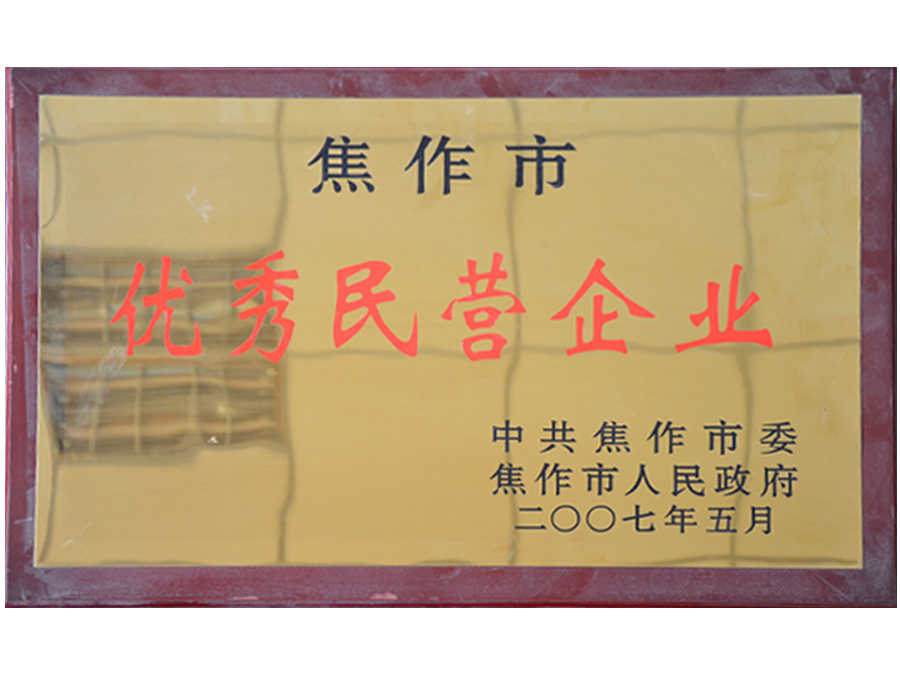 2007市優(yōu)秀民營企業(yè)
