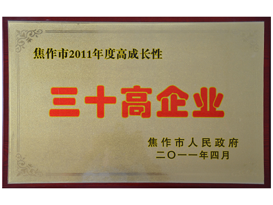2011市三十高企业