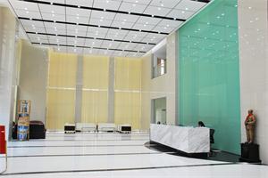 Company Environment