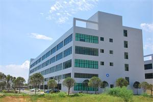 Company Environment
